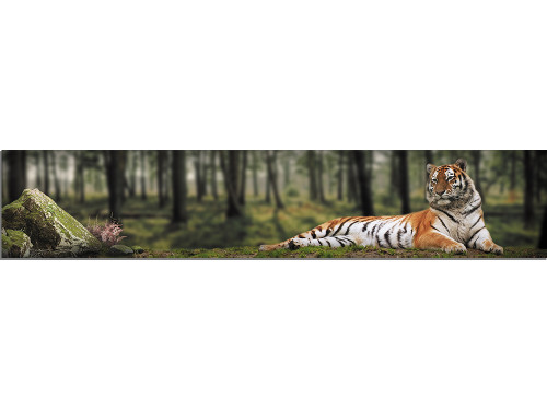Животные 5 Тигр