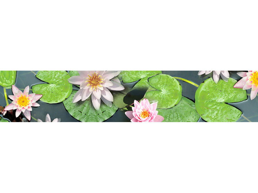 Цветы 13 Кувшинки
