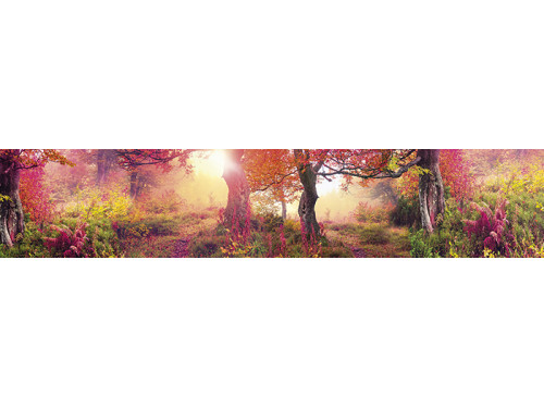 Цветочная мечта 23 Волшебный лес