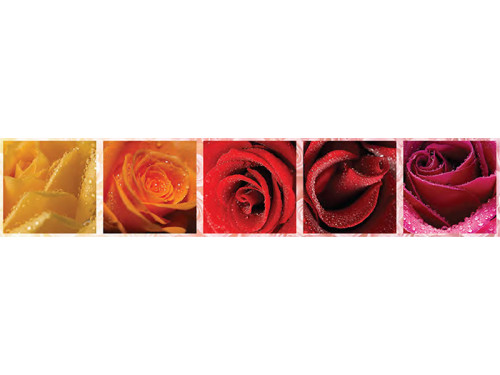 Цветочная мечта 16 Розы
