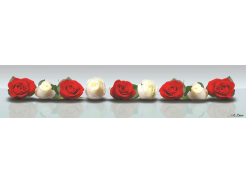 Панель SP 030 Красные и белые розы