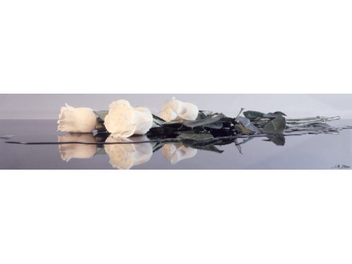 Панель SP 033 Белые розы