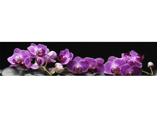 Панель SP 089 Фиолетовая орхидея на черном